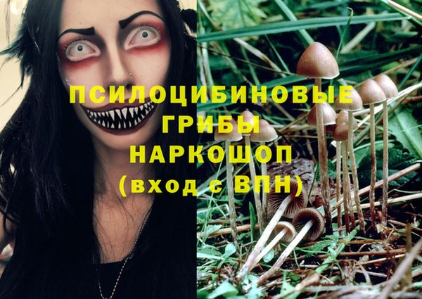 бошки Абинск