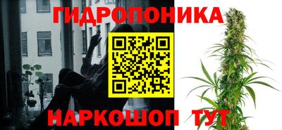 ГАЛЛЮЦИНОГЕННЫЕ ГРИБЫ Коммунар