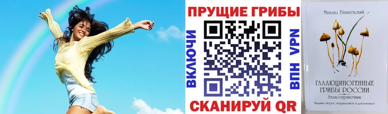 Галлюциногенные грибы мицелий  Звенигород 