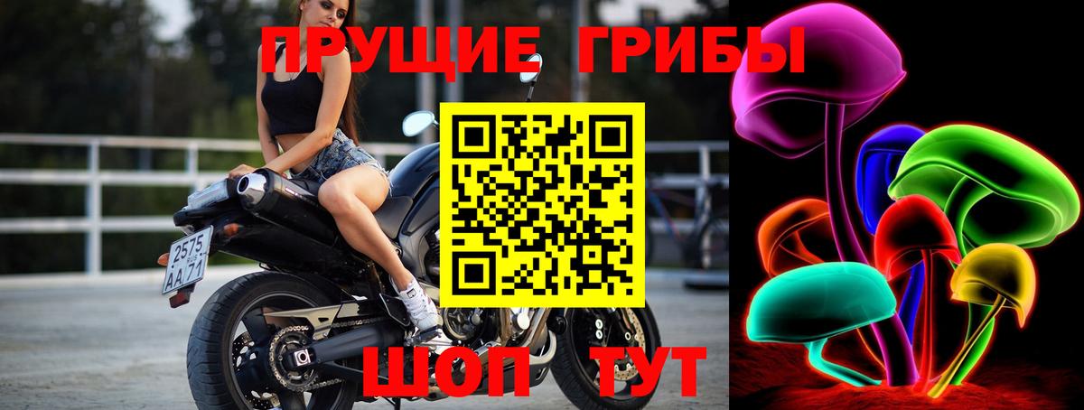Галлюциногенные грибы прущие грибы Звенигород