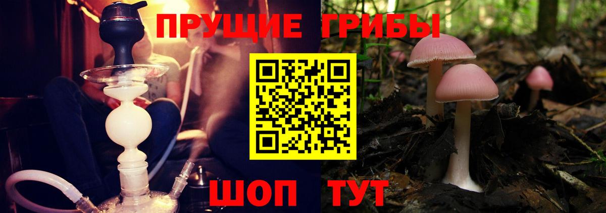 Галлюциногенные грибы GOLDEN TEACHER  Вход с VPN  купить  сайты  Звенигород 